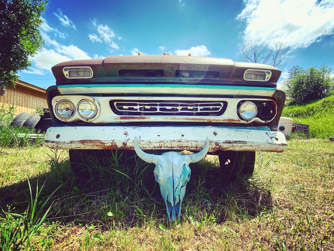 Turquoise Bison